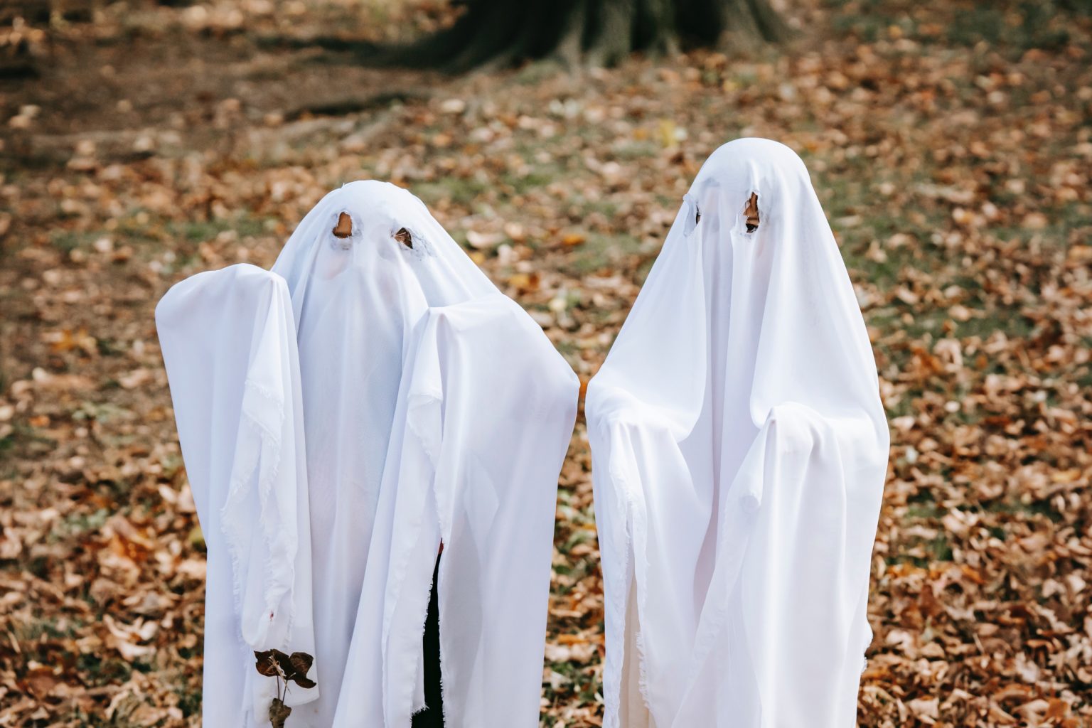 kids in ghost costumes for fall fun in raleigh