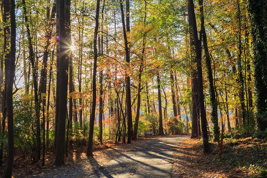 Hiking