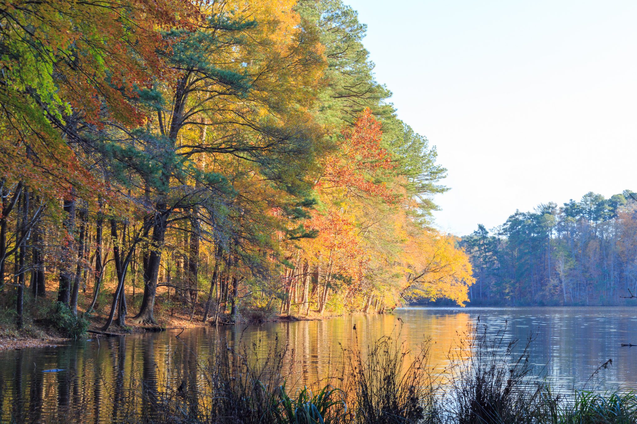 Lake Johnson in Raleigh, NC during fall season
