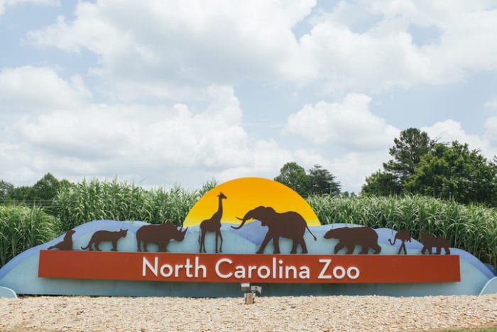North Carolina Zoo in Asheboro Near Raleigh